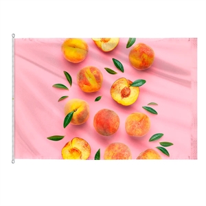 Custom Digitally Printed Flags - 12' x 18'
