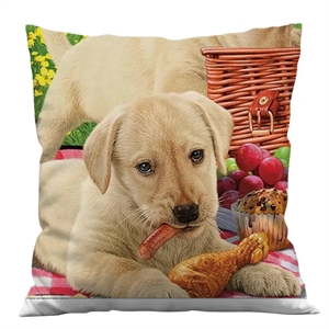 Custom Promotion Throw Pillow