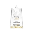Millington Star VividPrint™ Award | https://www.bestnamebadges.com