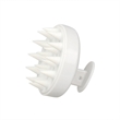 Scalp Massager | https://www.bestnamebadges.com