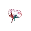 Temporary Tattoos | https://www.bestnamebadges.com