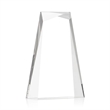 Tyneside Award - Clear | https://www.bestnamebadges.com