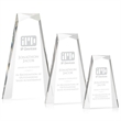 Tyneside Award - Clear | https://www.bestnamebadges.com