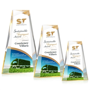 Tyneside VividPrint™ Award - Gold | https://www.bestnamebadges.com