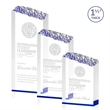 Warwick Award - Blue | https://www.bestnamebadges.com