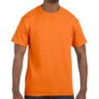 Custom Embroidered Adult Basic Cotton T-Shirts | https://www.bestnamebadges.com