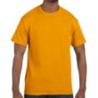 Custom Embroidered Adult Basic Cotton T-Shirts | https://www.bestnamebadges.com