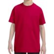Custom Embroidered Youth Basic Cotton T-Shirts | https://www.bestnamebadges.com