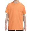 Custom Embroidered Youth Basic Cotton T-Shirts | https://www.bestnamebadges.com