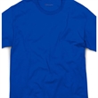 Champion Adult Ringspun Cotton T-Shirt | https://www.bestnamebadges.com
