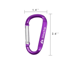 Aluminum Alloy D Ring Shape Carabiner Key Chain