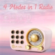 Multifunctional Retro Bluetooth Speaker | https://www.bestnamebadges.com
