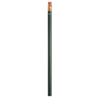 Miser Round Pencil | https://www.bestnamebadges.com