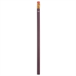 Miser Round Pencil | https://www.bestnamebadges.com