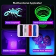 High Luminous Intensity Portable Ultra Violet Flashlight | https://www.bestnamebadges.com