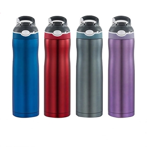 Insulated Water Bottle with Straw Lid 20 oz