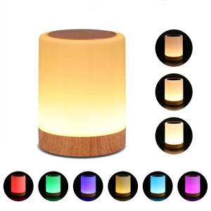 Night Light Touch Lamp for Bedrooms Living Room