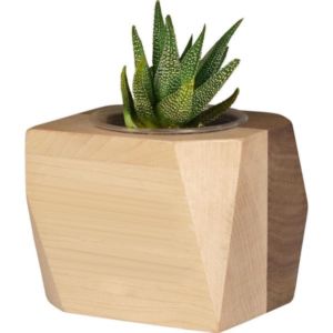 Geometric Wooden Planter with Succulent