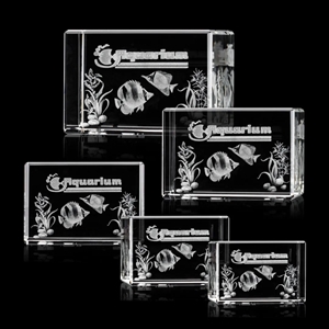 Lexington Cube 3D Award | https://www.bestnamebadges.com