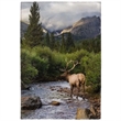 20" x 31.5" 1230 GSM Textured Non-Skid Dornier Rug | https://www.bestnamebadges.com