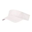 BUDGET SAVER NON-WOVEN VISOR | https://www.bestnamebadges.com