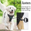No Pull Adjustable Dog Harness | https://www.bestnamebadges.com