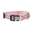 Dog Collar with Metal Buckle | https://www.bestnamebadges.com
