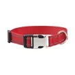 Dog Collar with Metal Buckle | https://www.bestnamebadges.com