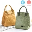 Reusable Tyvek Insulated Lunch Snack Bags | https://www.bestnamebadges.com