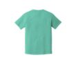 Comfort Colors - Garment Dyed Heavyweight Ringspun Short ... | https://www.bestnamebadges.com