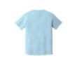 Comfort Colors - Garment Dyed Heavyweight Ringspun Short ... | https://www.bestnamebadges.com