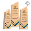 Nottinghill VividPrint™ Award | https://www.bestnamebadges.com