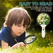 Magnifying Glass with 12 LED Lights | https://www.bestnamebadges.com