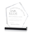 Driffield Award - Silver | https://www.bestnamebadges.com
