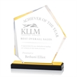 Driffield Award - Gold | https://www.bestnamebadges.com