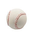 Rubber Pet Toy Squeaky Ball | https://www.bestnamebadges.com