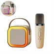 Premium LED Karaoke Machine with Wireless Mircophone | https://www.bestnamebadges.com