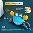 Crawling Crab Baby Toy | https://www.bestnamebadges.com