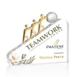 Synergy VividPrint™ Award | https://www.bestnamebadges.com