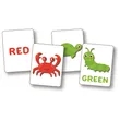 Colors Flash Cards | https://www.bestnamebadges.com