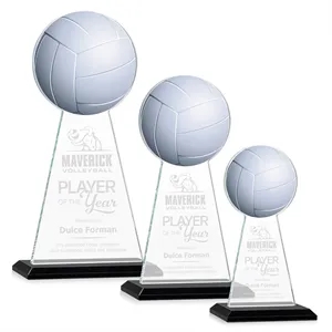 Edenwood Volleyball VividPrint/Etch Award - Black | https://www.bestnamebadges.com