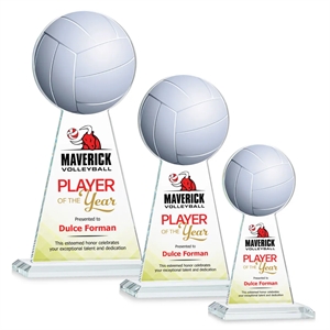 Edenwood Volleyball VividPrint™ Award - Clear | https://www.bestnamebadges.com