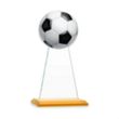 Edenwood Soccer VividPrint™ Award - Amber | https://www.bestnamebadges.com