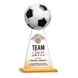 Edenwood Soccer VividPrint™ Award - Amber | https://www.bestnamebadges.com