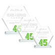 Riviera Anniversary Award No 45 - Green | https://www.bestnamebadges.com