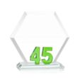 Riviera Anniversary Award No 45 - Green | https://www.bestnamebadges.com