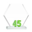 Riviera Anniversary Award No 45 - Green | https://www.bestnamebadges.com