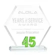 Riviera Anniversary Award No 45 - Green | https://www.bestnamebadges.com