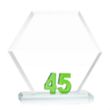 Riviera Anniversary Award No 45 - Green | https://www.bestnamebadges.com