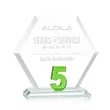 Riviera Anniversary Award No 5 - Green | https://www.bestnamebadges.com